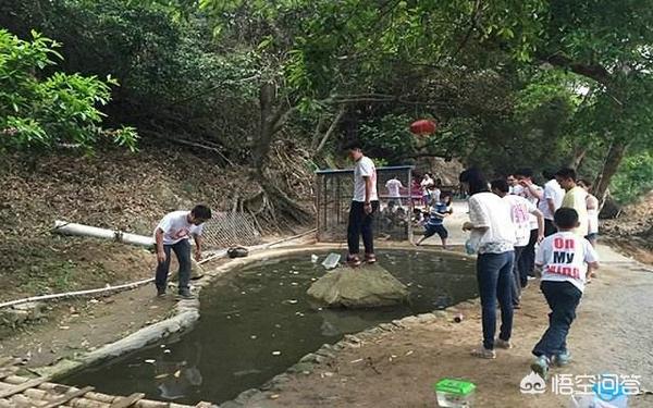空间之农女真好命（空间之农女真好命免费阅读）