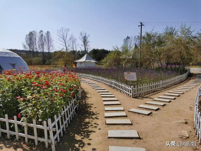 空间之农女真好命（空间之农女真好命免费阅读）