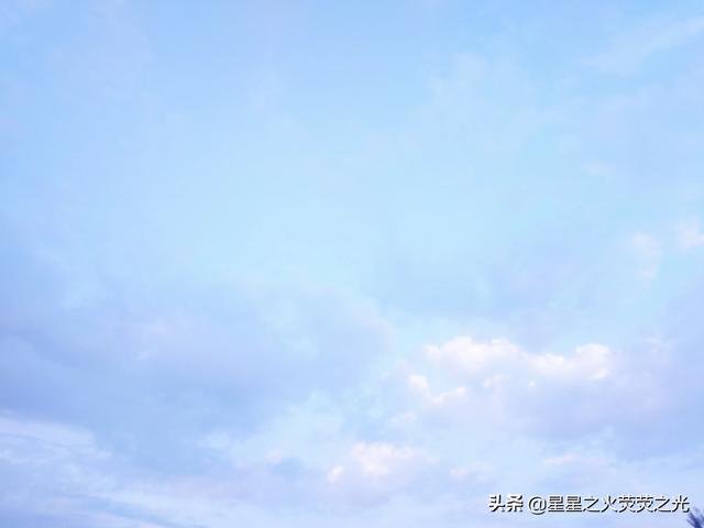 看书全部免费的app（2019看书全免费软件哪个好）
